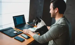 Mężczyzna z psem pracuje zdalnie bez doświadczenia. Na biurku laptop, telefon, okulary i kalkulator.