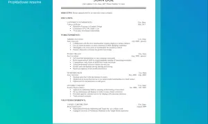 Przykładowe CV po angielsku z danymi kandydata i jego doświadczeniem zawodowym.