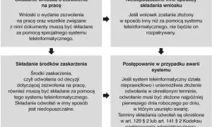 Jak zatrudnić cudzoziemca krok po kroku i uniknąć błędów w procesie