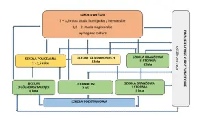 Schemat ścieżek edukacji: od szkoły podstawowej, przez liceum dla dorosłych 2-letnie, technikum, aż po studia wyższe.