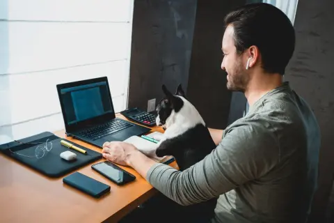Mężczyzna z psem pracuje zdalnie bez doświadczenia. Na biurku laptop, telefon, okulary i kalkulator.