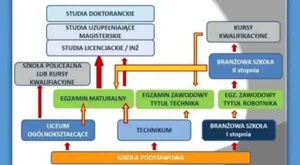Schemat ścieżek kształcenia: od szkoły podstawowej przez technikum, liceum, branżową szkołę II stopnia, aż po studia.