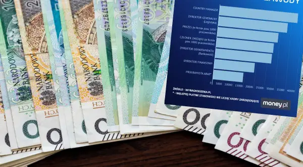 Wykres porównuje najlepiej płatne zawody, od Country Managera po Programistę ABAP, na tle polskich banknotów.