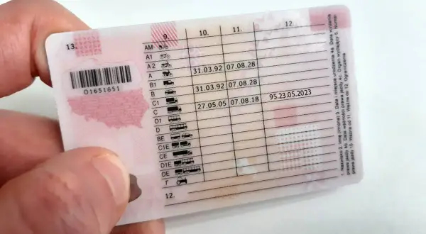 Jakie dokumenty są potrzebne do profilu kierowcy zawodowego?