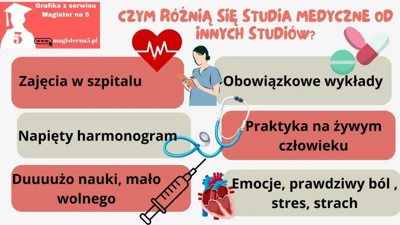 Studia medyczne to zajęcia w szpitalu, praktyki na żywym człowieku, dużo nauki i stres.