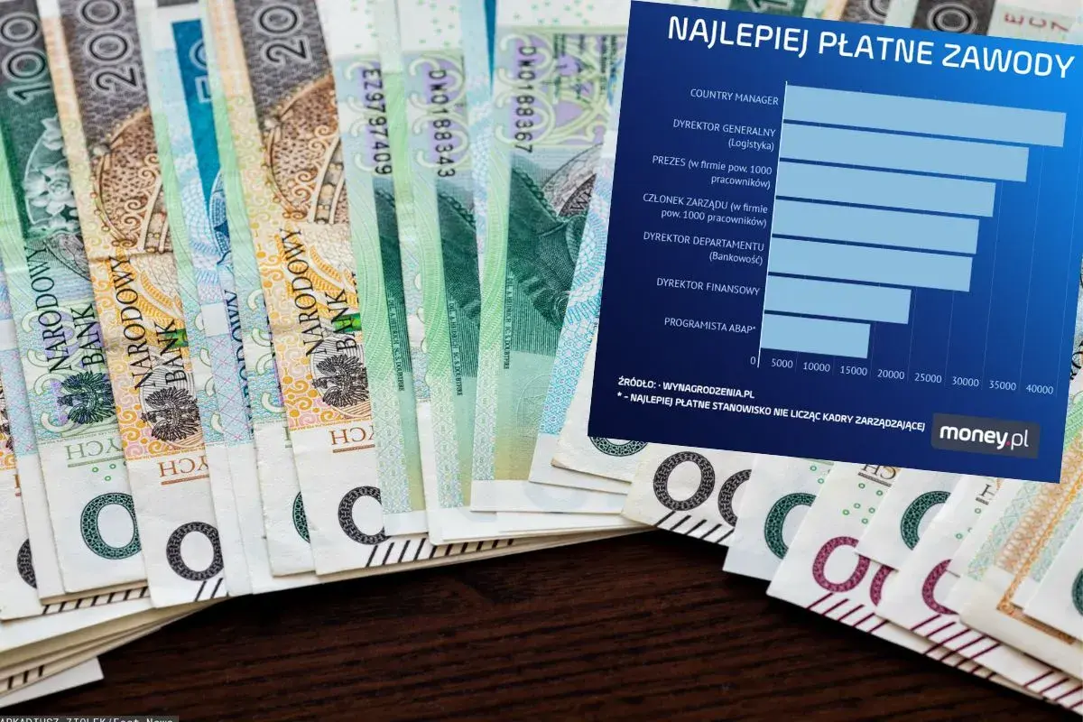 Wykres porównuje najlepiej płatne zawody, od Country Managera po Programistę ABAP, na tle polskich banknotów.