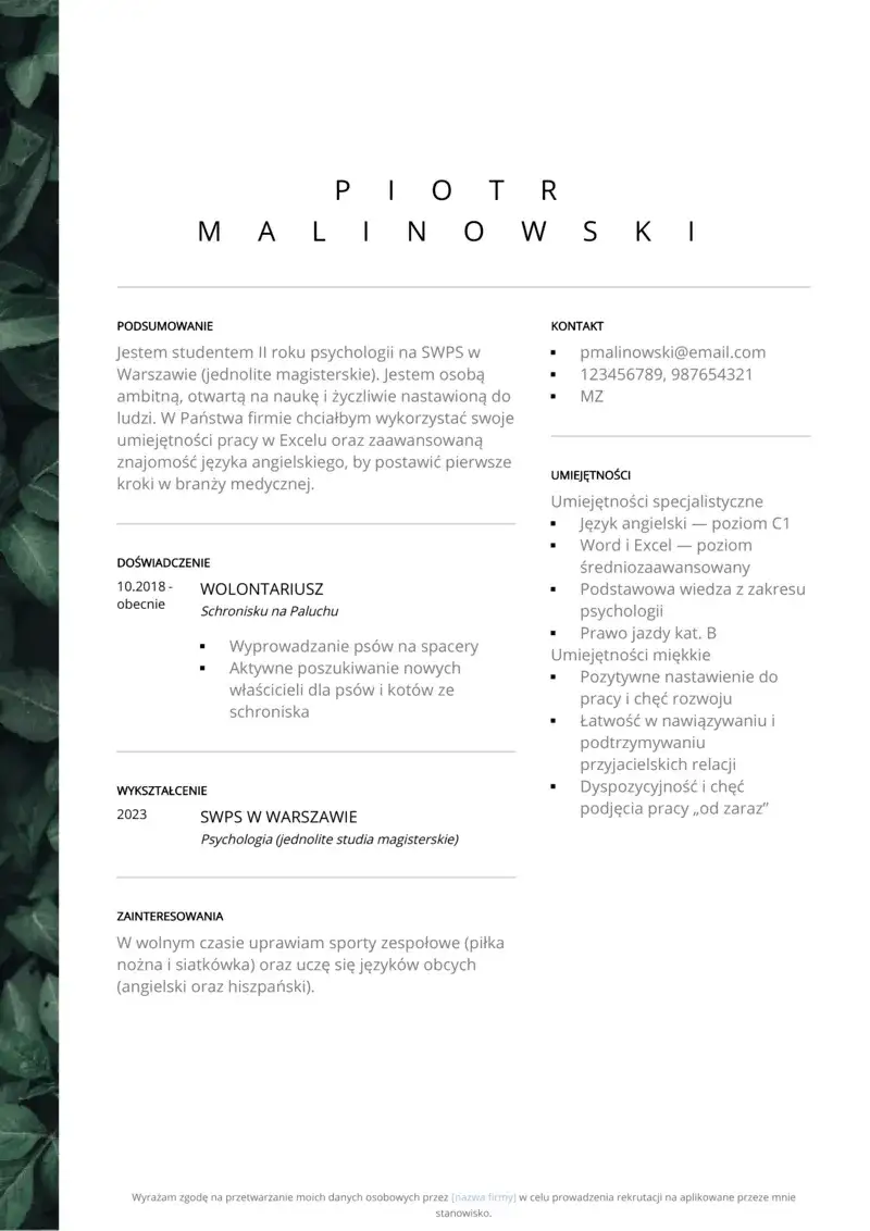Zdjęcie Jak zrobić CV w PDF - proste sposoby na profesjonalne dokumenty