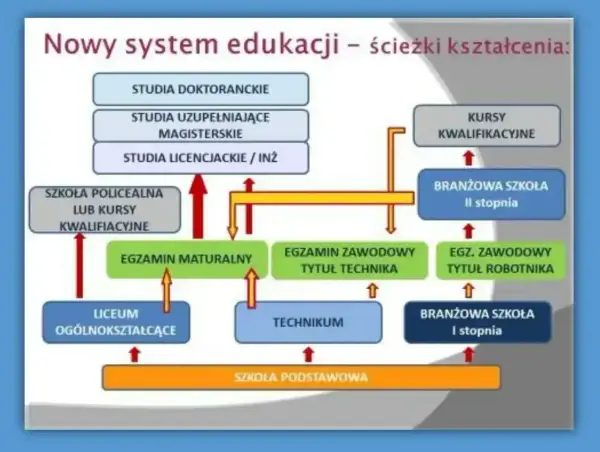 Schemat ścieżek kształcenia: od szkoły podstawowej przez technikum, liceum, branżową szkołę II stopnia, aż po studia.